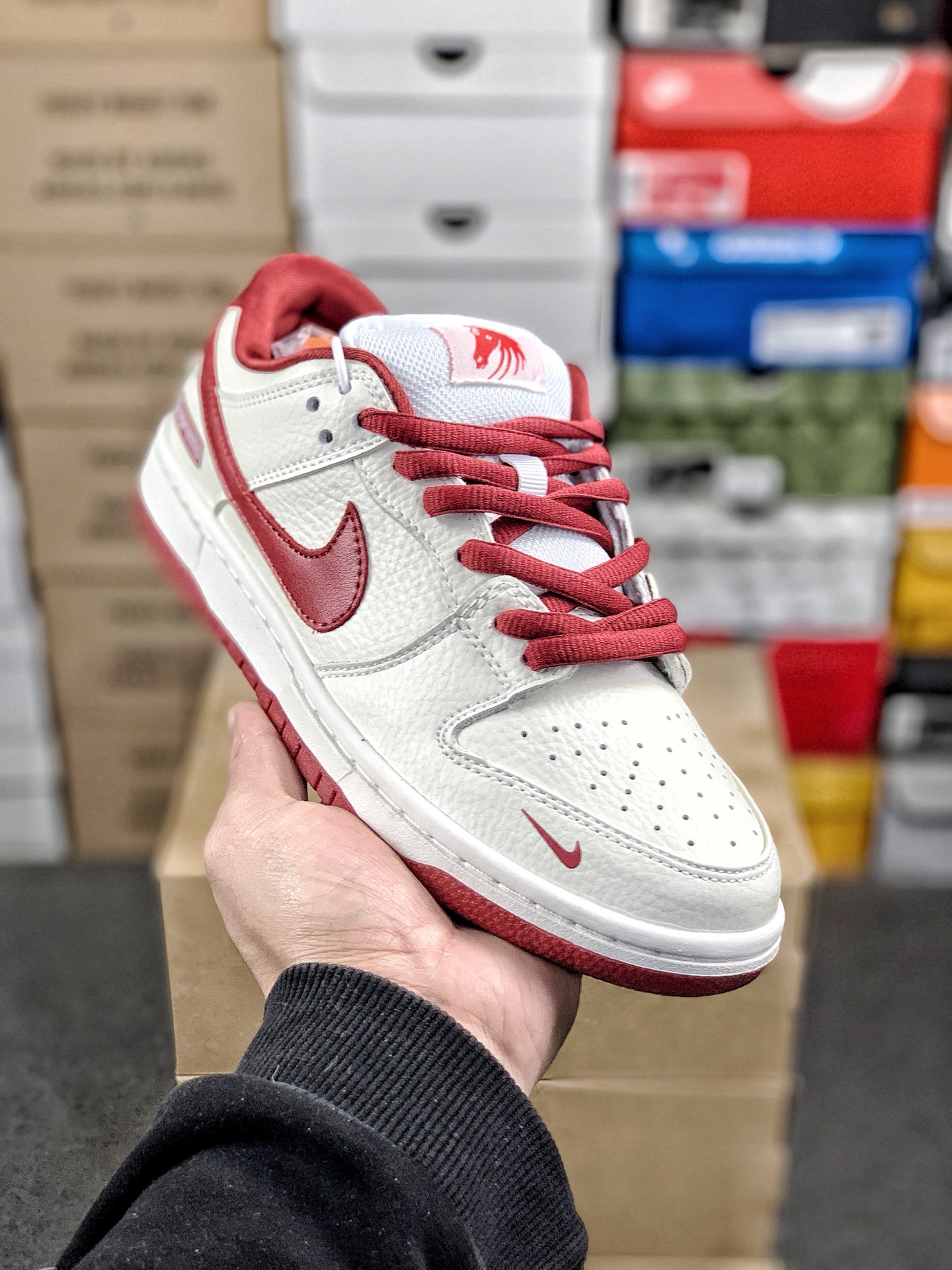 Nike Jordan shoe